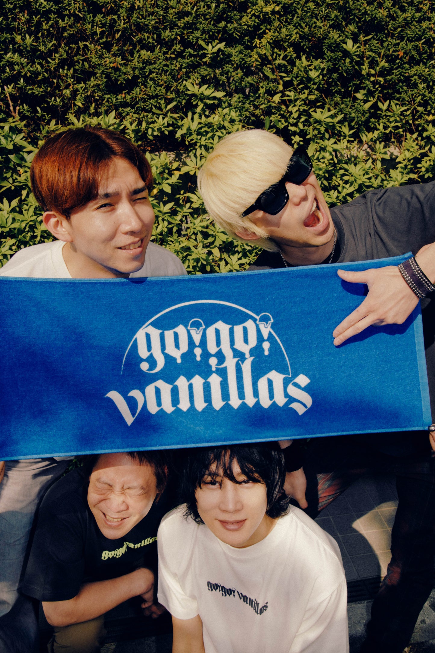 LOGO Face Towel BLUE [go!go!vanillas]