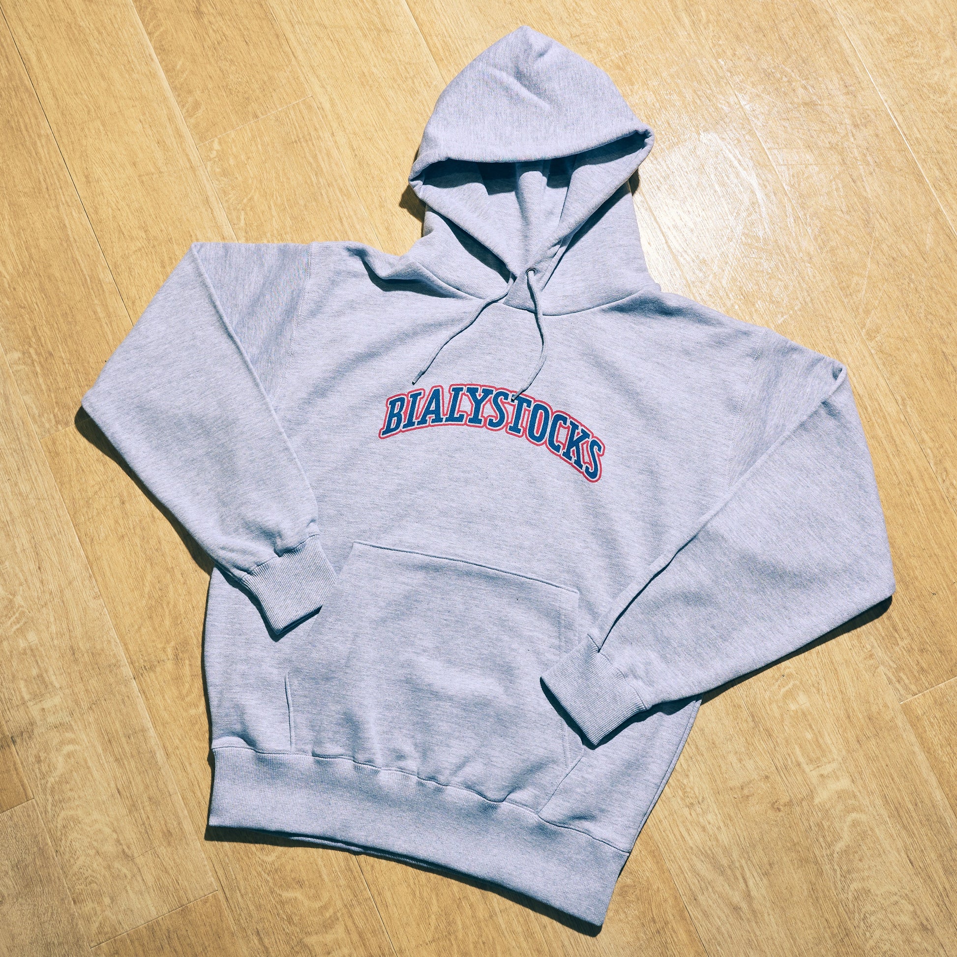 College Hoodie - Large (JP Size) [Bialystocks]