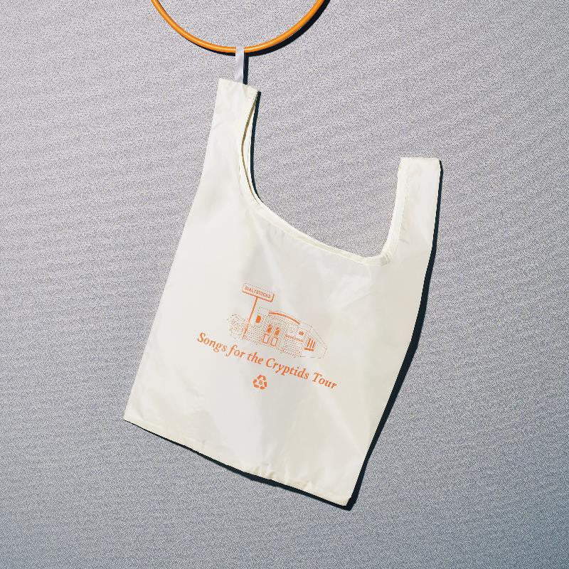 Reusable Shopping Bag [Bialystocks]