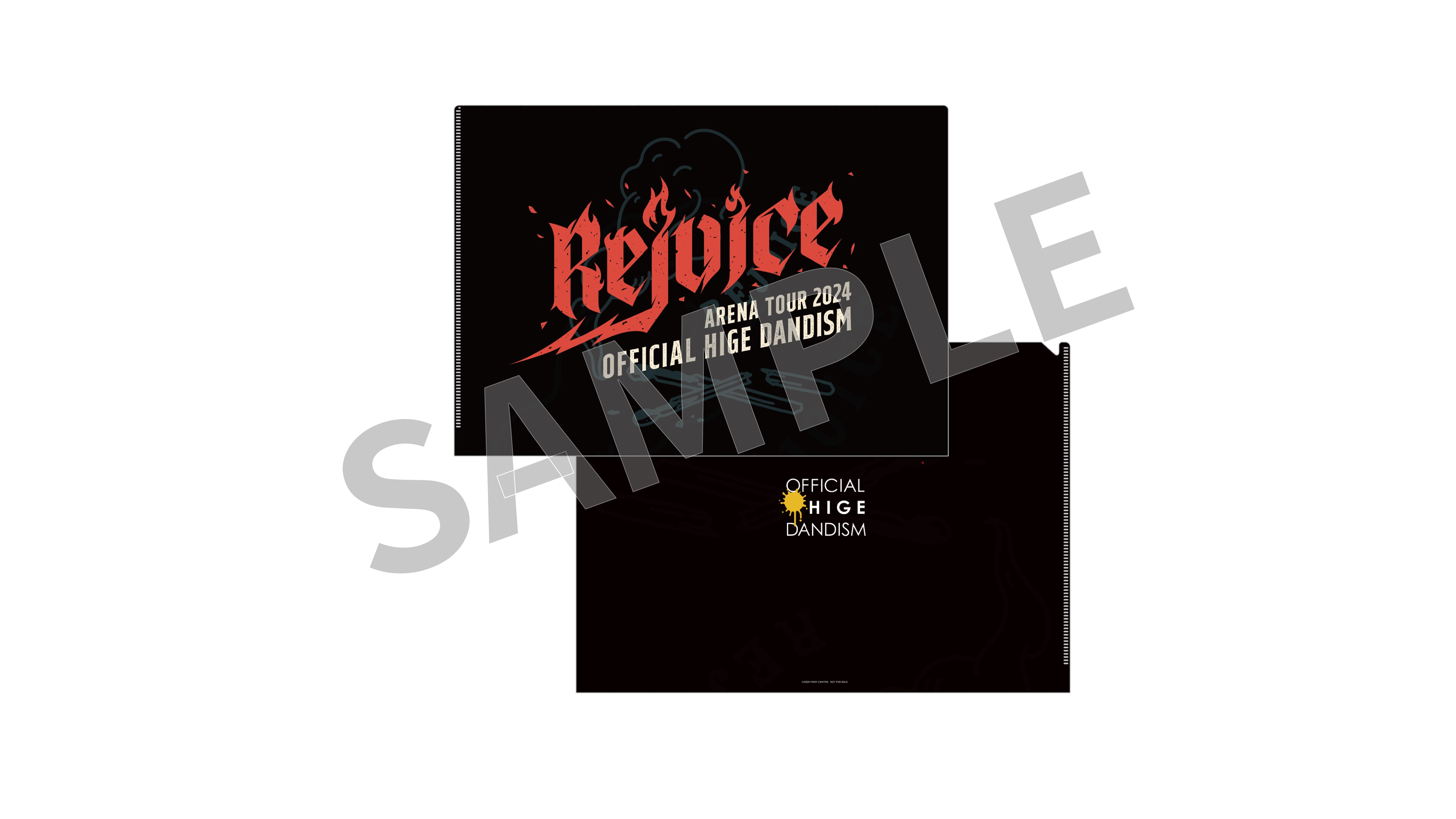 Official HIGE DANdism Arena Tour 2024 - Rejoice - (Blu-ray