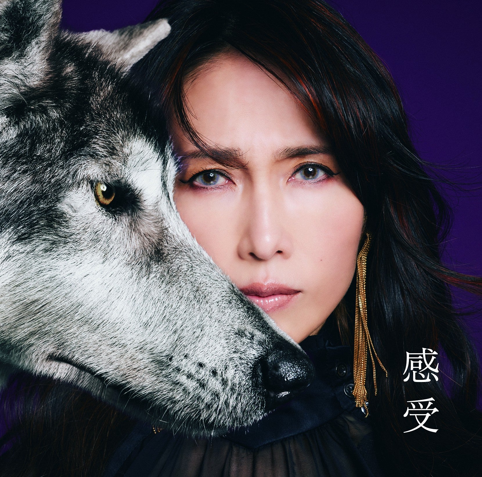 Music - Artist - S – Page 11 – PONYCANYON SHOP