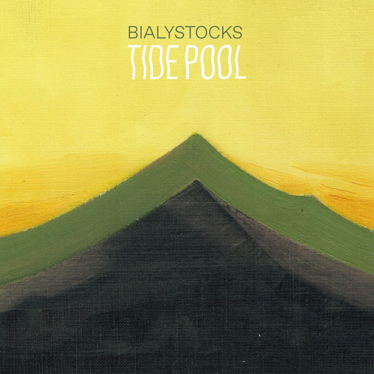 Bialystocks 