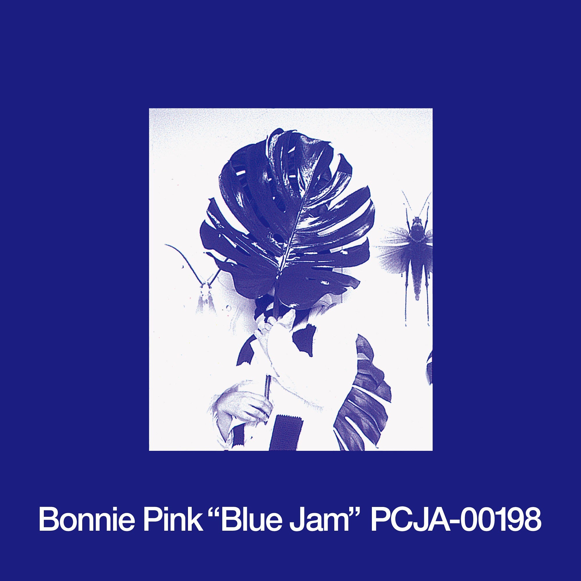 BONNIE PINK "Blue Jam" (180g Heavyweight Vinyl LP)