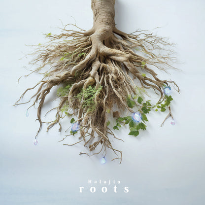 Halujio "roots"