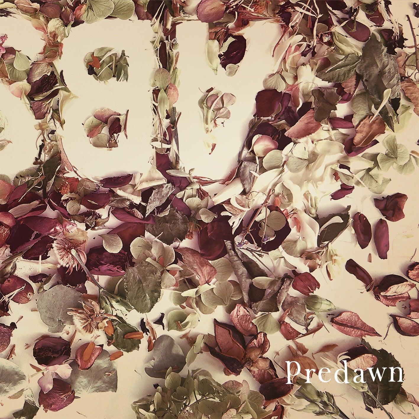 Predawn "Absence"