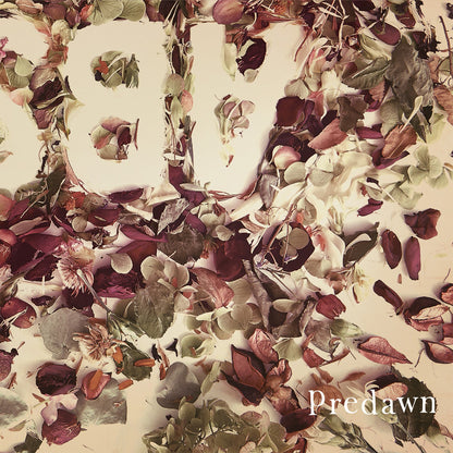 Predawn "Absence"